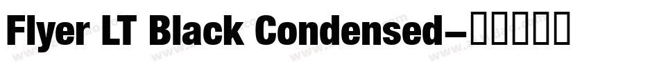 Flyer LT Black Condensed字体转换
